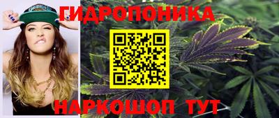гидропоника Будённовск